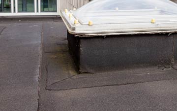 disadvantages of Norwell Woodhouse flat roofs
